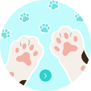 ねこのて